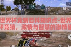 世界杯竞猜百科知识点-世界杯竞猜，激情与智慧的激情碰撞