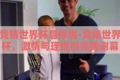 竞猜世界杯后停售-竞猜世界杯，激情与理性的完美谢幕