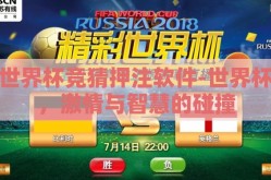世界杯竞猜押注软件-世界杯，激情与智慧的碰撞