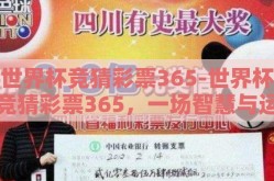 世界杯竞猜彩票365-世界杯竞猜彩票365，一场智慧与运气的激情碰撞