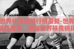 世界杯竞猜排行榜最新-世界足坛盛事，揭秘世界杯竞猜排行榜最新动态