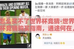 怎么买不了世界杯竞猜-世界杯竞猜购买指南，通途何在，难解之谜