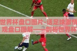 世界杯盘口图片-话足球激情 观盘口图解——剖析世界杯背后的竞猜艺术与数据分析