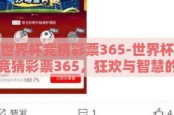 世界杯竞猜彩票365-世界杯竞猜彩票365，狂欢与智慧的交锋