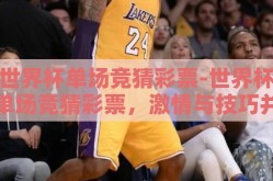 世界杯单场竞猜彩票-世界杯单场竞猜彩票，激情与技巧并存的竞技盛宴