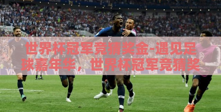 世界杯冠军竞猜奖金-遇见足球嘉年华，世界杯冠军竞猜奖金的奇妙探索之旅