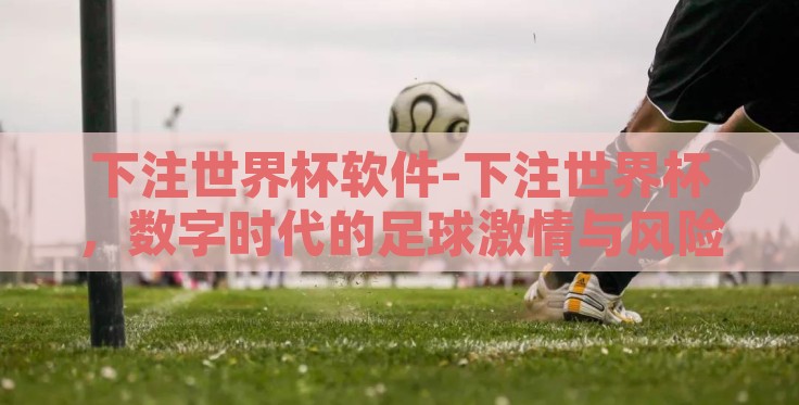 下注世界杯软件-下注世界杯，数字时代的足球激情与风险管理