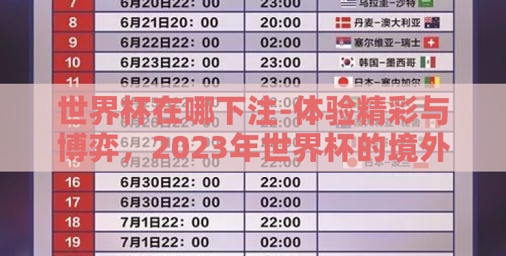世界杯在哪下注-体验精彩与博弈，2023年世界杯的境外赌球问题