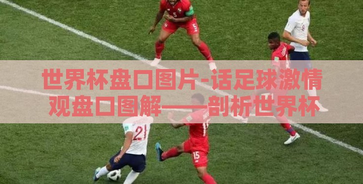 世界杯盘口图片-话足球激情 观盘口图解——剖析世界杯背后的竞猜艺术与数据分析 世界杯盘口图片-话足球激情 观盘口图解——剖析世界杯背后的竞猜艺术与数据分析