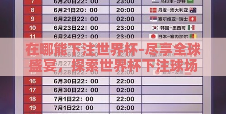 在哪能下注世界杯-尽享全球盛宴，探索世界杯下注球场