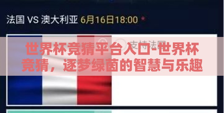 世界杯竞猜平台入口-世界杯竞猜,逐梦绿茵的智慧与乐趣 世界杯竞猜平台入口-世界杯竞猜,逐梦绿茵的智慧与乐趣
