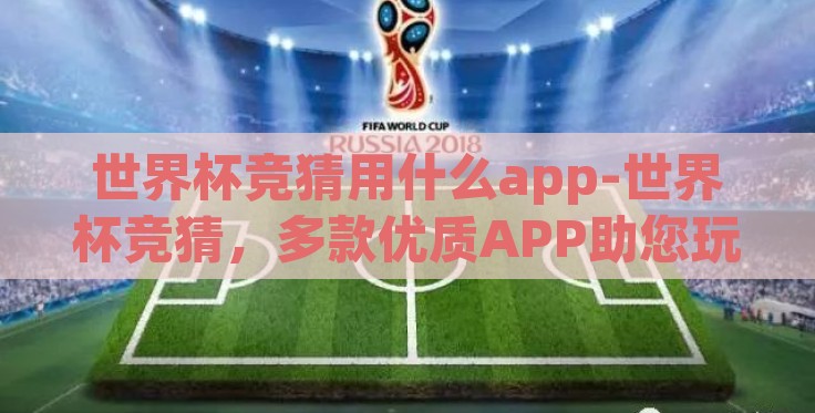 世界杯竞猜用什么app-世界杯竞猜，多款优质APP助您玩转预测热潮