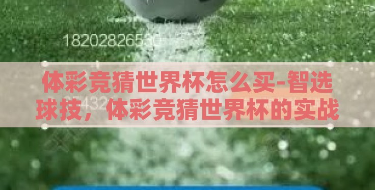 体彩竞猜世界杯怎么买-智选球技，体彩竞猜世界杯的实战攻略