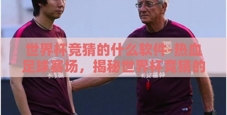 世界杯竞猜的什么软件-热血足球赛场，揭秘世界杯竞猜的神兵利器——XX足球助手APP