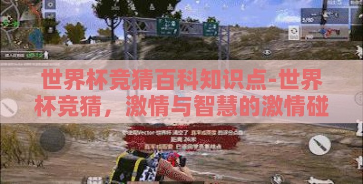 世界杯竞猜百科知识点-世界杯竞猜,激情与智慧的激情碰撞 世界杯竞猜百科知识点-世界杯竞猜,激情与智慧的激情碰撞