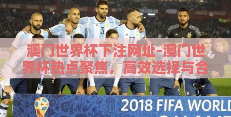 澳门世界杯下注网址-澳门世界杯热点聚焦，高效选择与合法参与的智慧考量