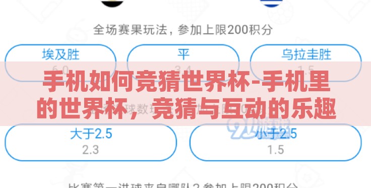 手机如何竞猜世界杯-手机里的世界杯，竞猜与互动的乐趣