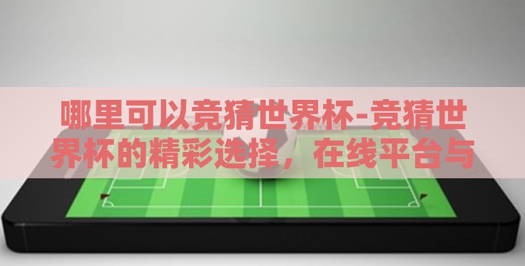 哪里可以竞猜世界杯-竞猜世界杯的精彩选择，在线平台与实体活动完美结合