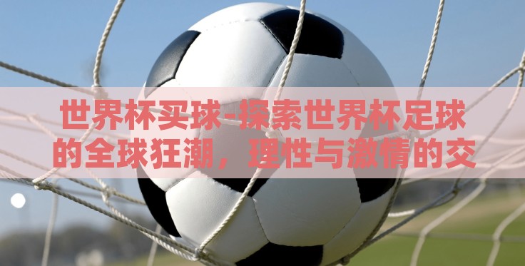 世界杯买球-探索世界杯足球的全球狂潮,理性与激情的交织 世界杯买球-探索世界杯足球的全球狂潮,理性与激情的交织