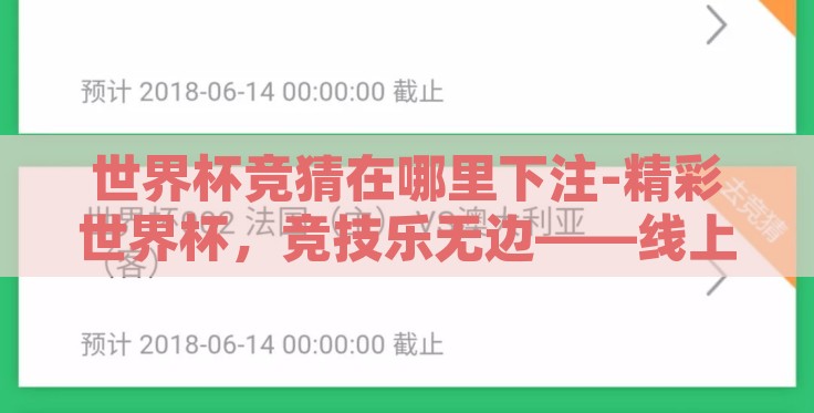 世界杯竞猜在哪里下注-精彩世界杯，竞技乐无边——线上竞猜平台全攻略