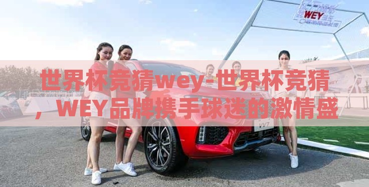 世界杯竞猜wey-世界杯竞猜，WEY品牌携手球迷的激情盛宴