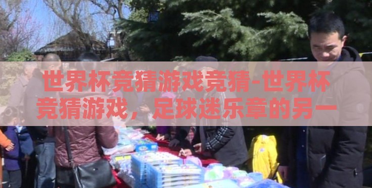 世界杯竞猜游戏竞猜-世界杯竞猜游戏，足球迷乐章的另一面