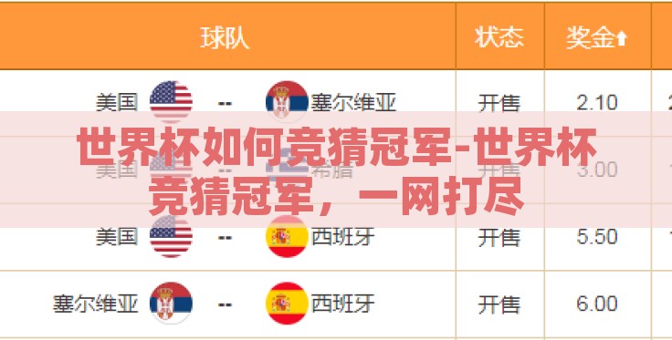 世界杯如何竞猜冠军-世界杯竞猜冠军，一网打尽