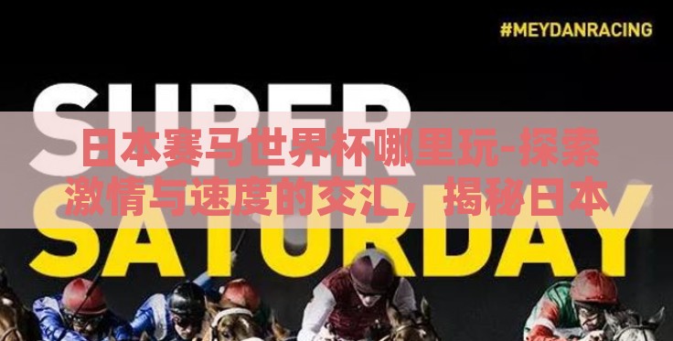 日本赛马世界杯哪里玩-探索激情与速度的交汇，揭秘日本赛马世界杯的最佳观赛体验地